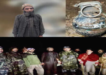Active associate of HM arrested with Chinese grenade in Kishtwar