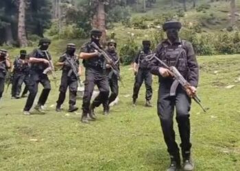 Anti-terror operation underway in Budgam forests