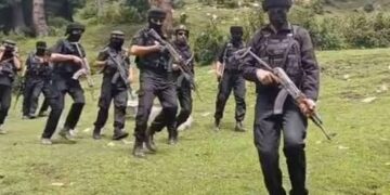 Anti-terror operation underway in Budgam forests