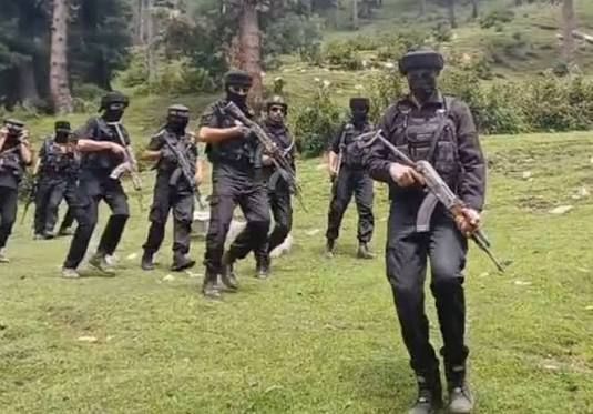 Anti-terror operation underway in Budgam forests
