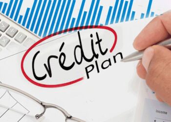 DDC chairs Distt Consultative Committee meeting at Pulwama, Approves Annual Credit Plan for 2023-24