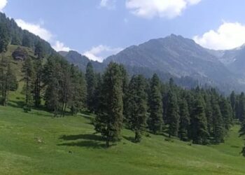 Aru Valley, a base camp for trekking to Tarsar Lake sans mobile & Internet connectivity
