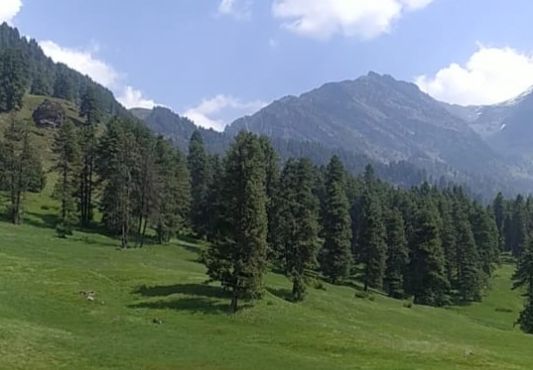 Aru Valley, a base camp for trekking to Tarsar Lake sans mobile & Internet connectivity