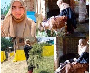Asiya, a successful dairy farmer considers dairying a promising solution to growing unemployment