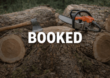 Three booked for illegal cutting of Walnut tree in Pulwama 