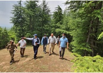 CCF Kashmir conducts inspection of South Kashmir forests