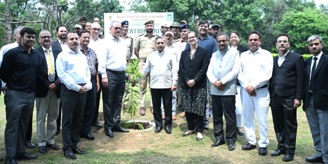 Acting Chief Justice Leads Plantation Drive at High Court Under ‘Ek Ped Maa Ke Naam’ Campaign