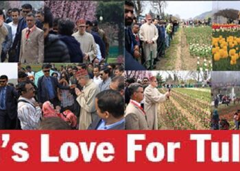CM’s Love For Tulips Thrills Tourists At Asia’s Largest Tulip Garden In Srinagar