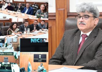 CS reviews proposal of large-scale Solar Park in J&K under MNRE Scheme