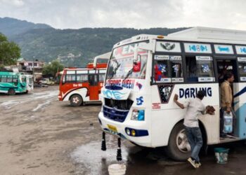 As Ceasefire begins, border dwellers return home