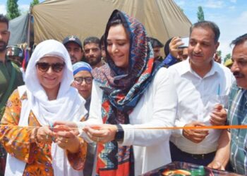 Chairperson DDC B’la, DC B’la lay foundation Stone of Prestigious Project at Wagoora