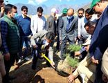 Comr Secy Forests kick starts plantation drive at SKUAST Forestry campus Benhama
