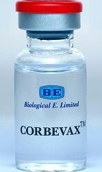Corbevax approved as precaution dose for adults vaccinated with Covaxin, Covishield