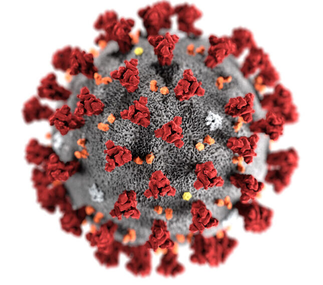 India Records 46 New Covid Infections, Count Of Active Cases Now 1,413