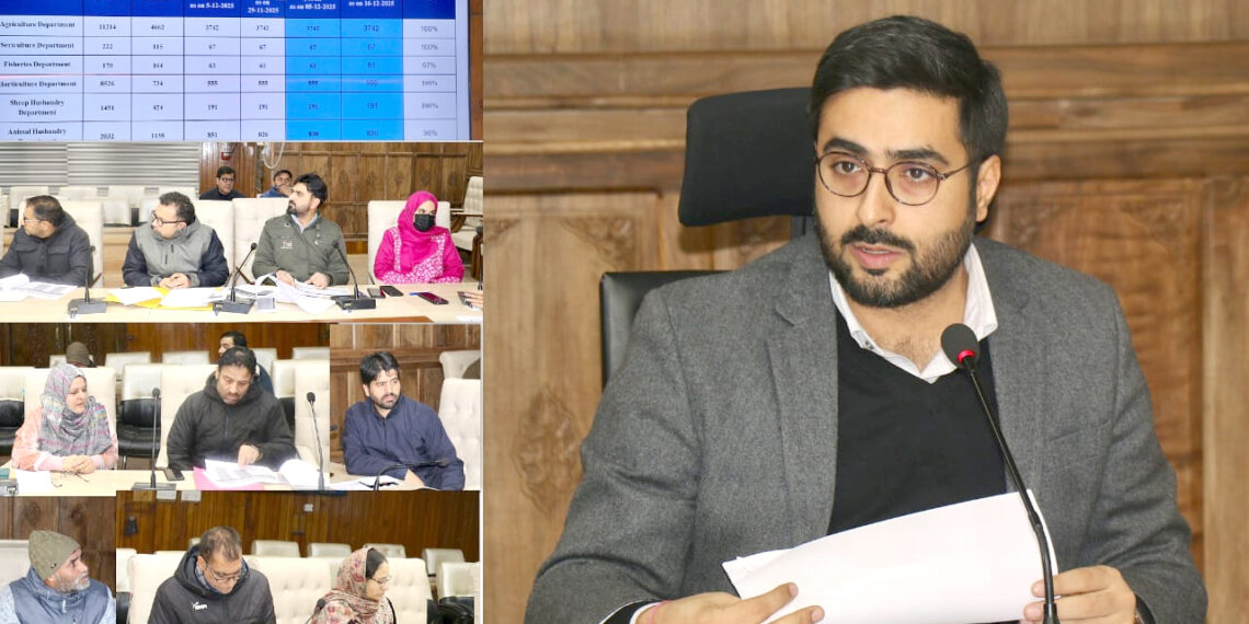DC Srinagar reviews progress of JKCIP, HADP & KKGs in the Distt