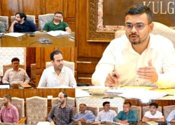 DC chairs meeting of Governing Body/Executive Committee of District AYUSH Society Kulgam