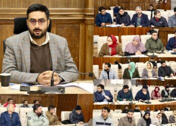 DC Srinagar reviews implementation of PM-SYM scheme in the distt
