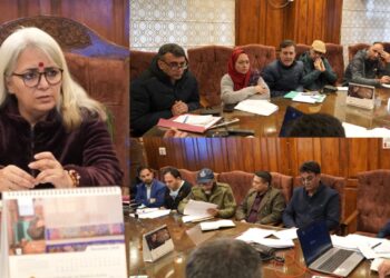 DDC Bandipora reviews District CAPEX Budget 2025–26