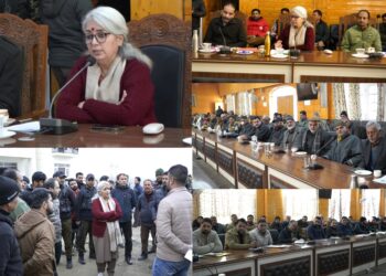 DC Bandipora holds Public Darbar at Sumbal