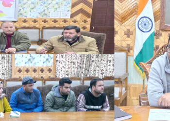DC Kupwara reviews progress of Mission Yuva, DLIC approves 170 applications
