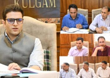DC Kulgam reviews progress of Revenue establishments
