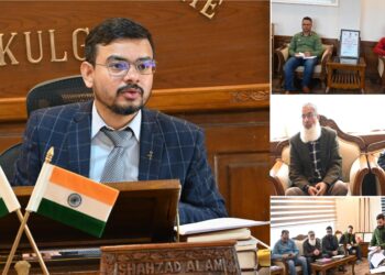 DC Kulgam reviews Power Sector