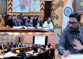 DC Kupwara review progress under HADP & JKCIP schemes