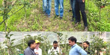 DC Poonch visits high-density apple orchard at Loran, reviews progress under government scheme