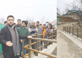 DC Srinagar inspects developmental works in Harwan Block; takes onsite review of ongoing works