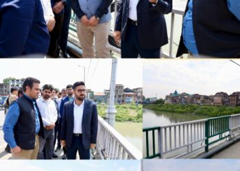 DC Srinagar takes onsite review of proposed fencing, allied works along city Bridges