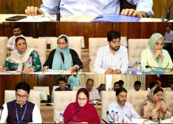 DC Srinagar chairs DLRC, DCC meet, Reviews performance of Banks in implementation of Govt sponsored schemes