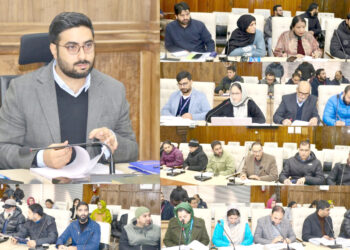 DC Srinagar reviews performance of Banks in implementation of Govt sponsored schemes