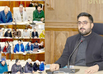 DC Srinagar reviews implementation of Key Citizen-Centric Health Progs in Distt