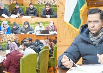 DC Shopian reviews NRLM performance in Distt