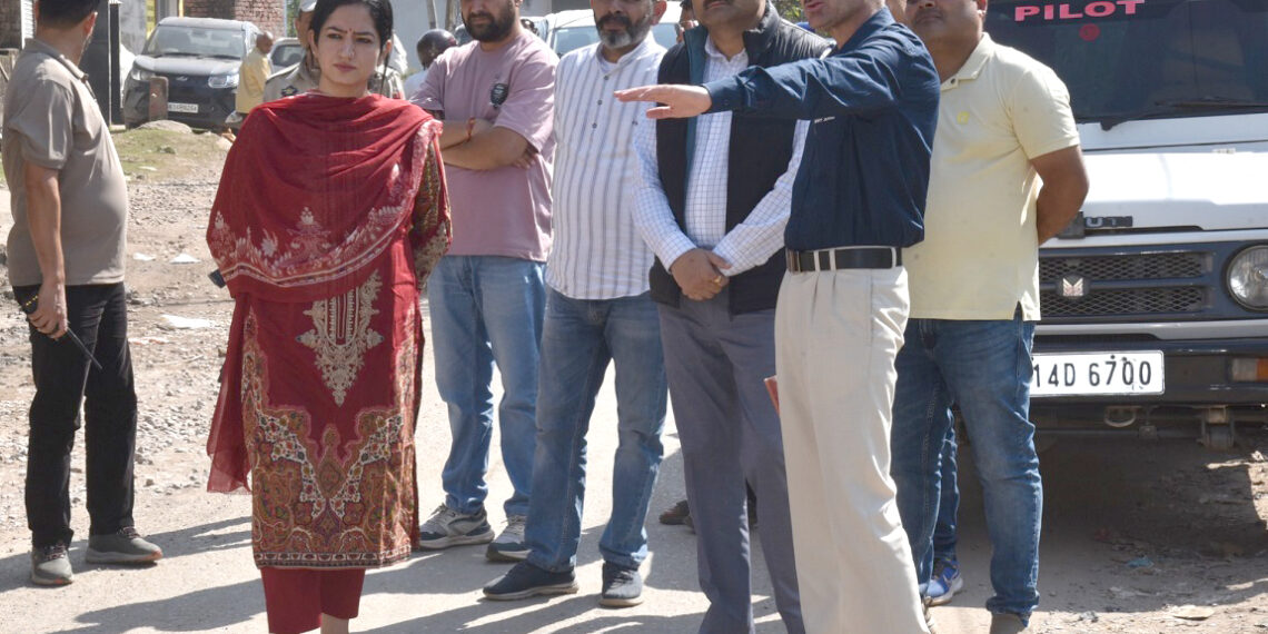 DC inspects road renovation work in Udhampur Town