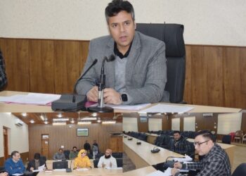 DC Emphasises Faster Processing, Mentorship for Young Entrepreneurs