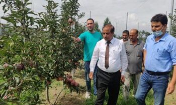 DG Horticulture Kashmir visits Pulwama, interacts with orchardists