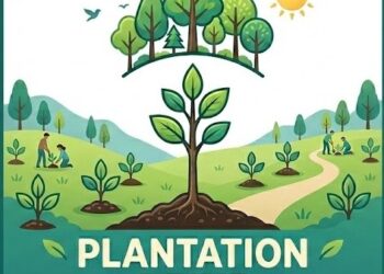 DHJ inspects horticulture plantation, developmental activities in Bhalwal Zone