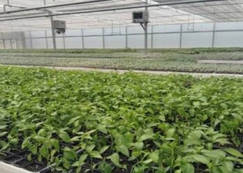 DHJ visits Hiranagar Zone to promote high-value horticultural crops