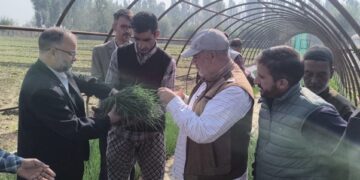 Dir Agri Kashmir inaugurates sale of Onion Seedlings at Gangbugh for farming Community