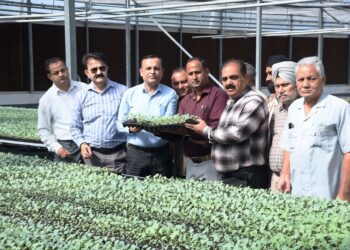 Director Agriculture (J) inaugurates distribution of Hybrid Vegetable Seedlings at Centre of Excellence