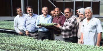 Director Agriculture (J) inaugurates distribution of Hybrid Vegetable Seedlings at Centre of Excellence