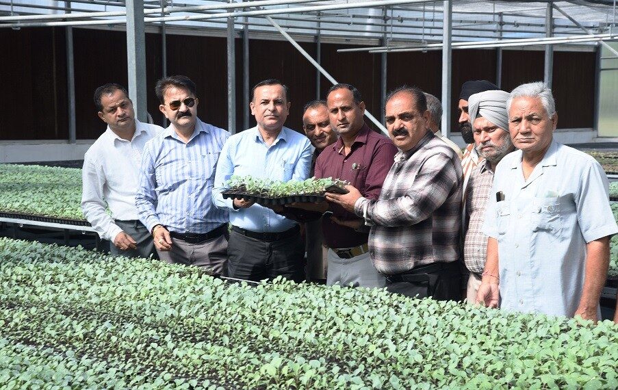 Director Agriculture (J) inaugurates distribution of Hybrid Vegetable Seedlings at Centre of Excellence
