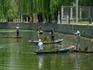 Dal Lake Cleaning On In Double Shifts For G20 Meeting In Srinagar