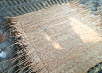 Govt. notifies 21 more crafts from Kashmir as ‘Notified Handicrafts’