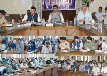Pr. Secy Home presides over Public Darbar at Srinagar