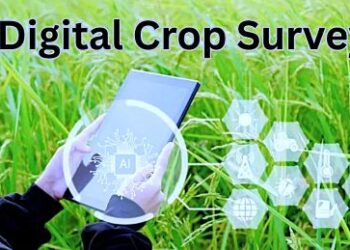 Training Programme on Digital Crop Survey held at Kupwara