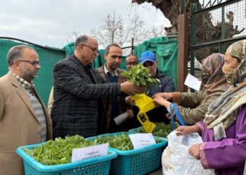 Dir Agri Kashmir kick starts distribution of vegetable seedlings at Kitchen Garden Srinagar