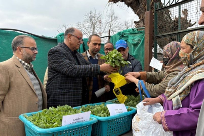 Dir Agri Kashmir kick starts distribution of vegetable seedlings at Kitchen Garden Srinagar