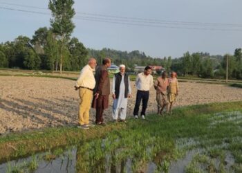 Dir Agriculture visits different areas of B’gam district